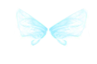 Wing of Elf (Lvl 1)