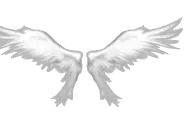 Small Wings of Heaven