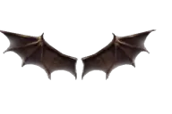 Small Wings of Satan