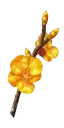 Golden Cherry Blossom Branch