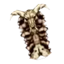 [T2] Heras Skull Shield
