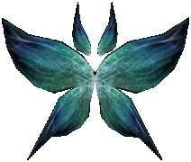 Wings of Spirit